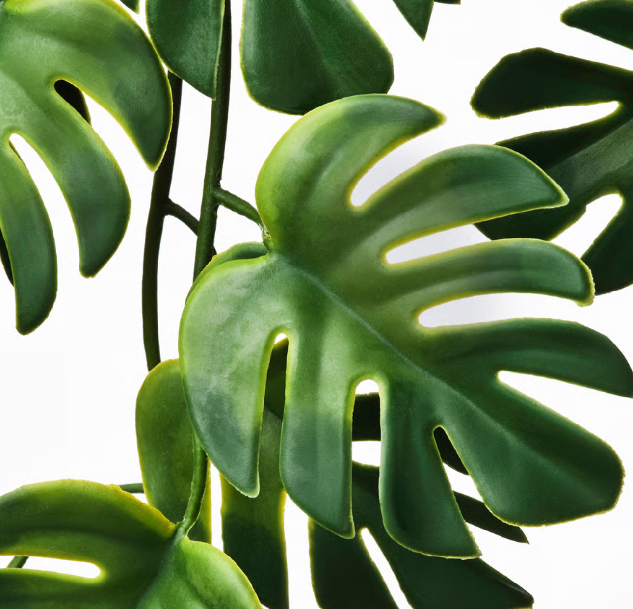  گیاه fejka مصنوعی کالا خلیج 