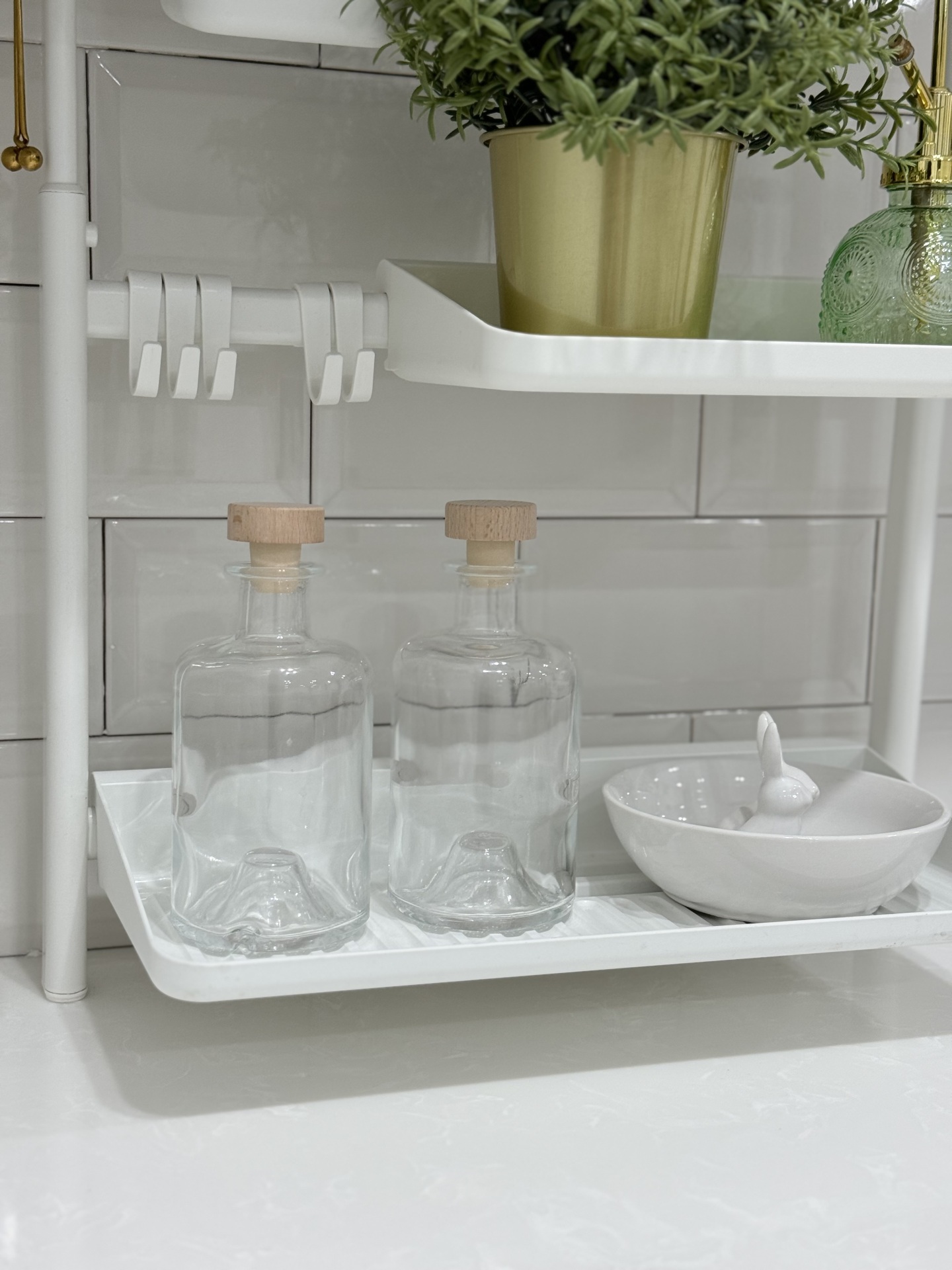  بطری روغن زیتون کالا خلیج 