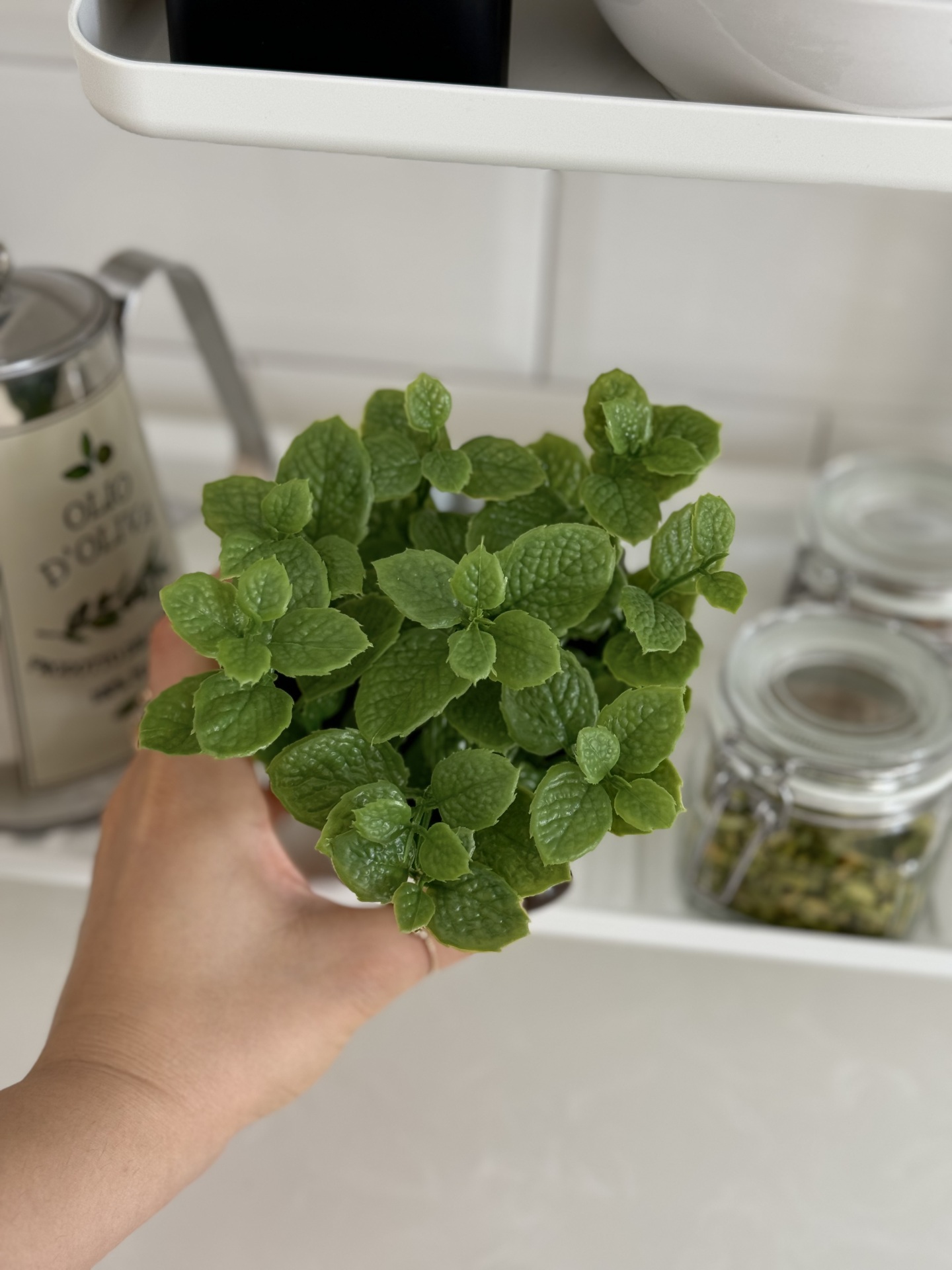 گیاه FEJKA ایکیا کالا خلیج