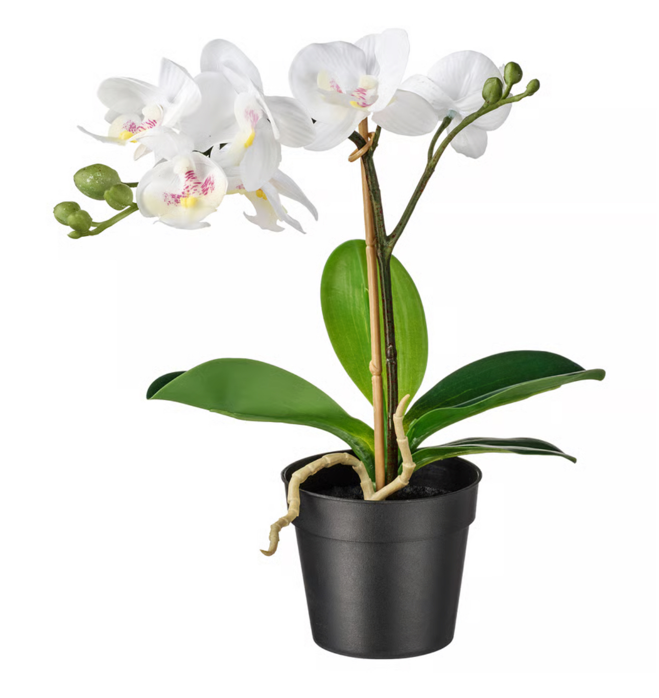  ارکیده ایکیا مدل FEJKA کالا خلیج 