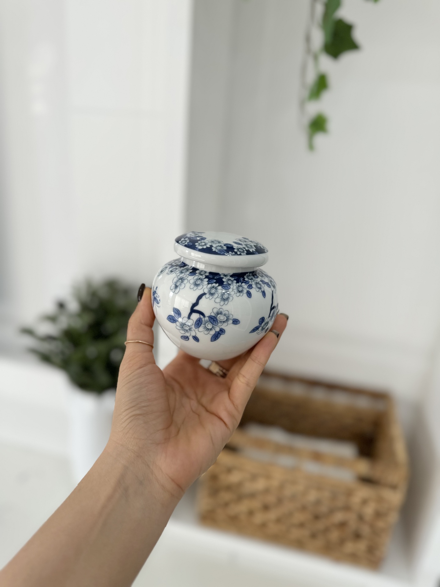  گلدان قلم آبی کالا خلیج 