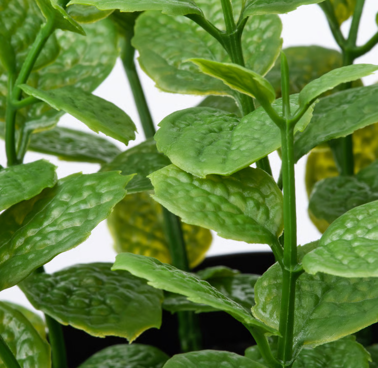 گیاه گلدانی مصنوعی FEJKA کالا خلیج