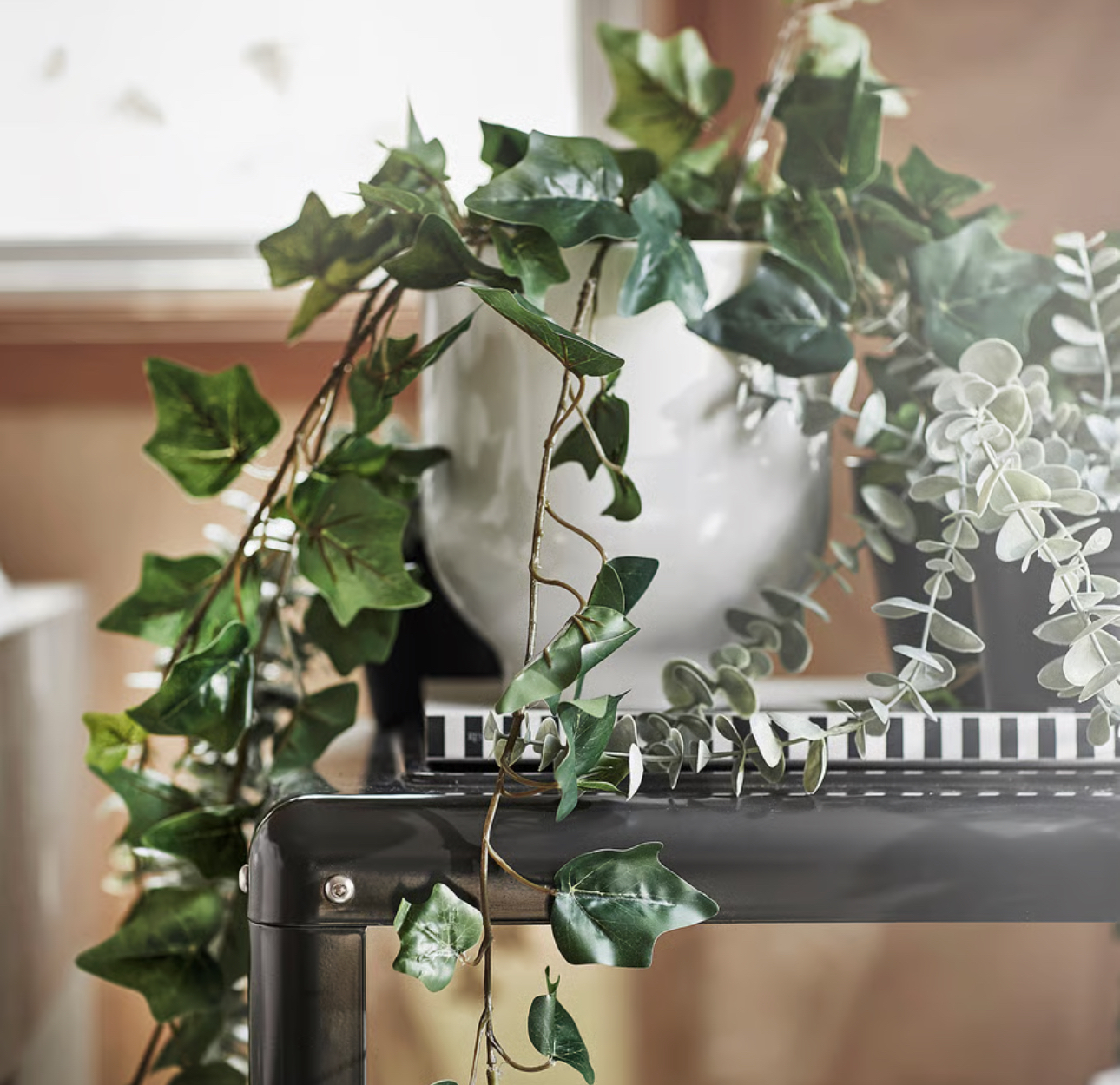 گیاه پیچک مصنوعی ایکیا کالا خلیج