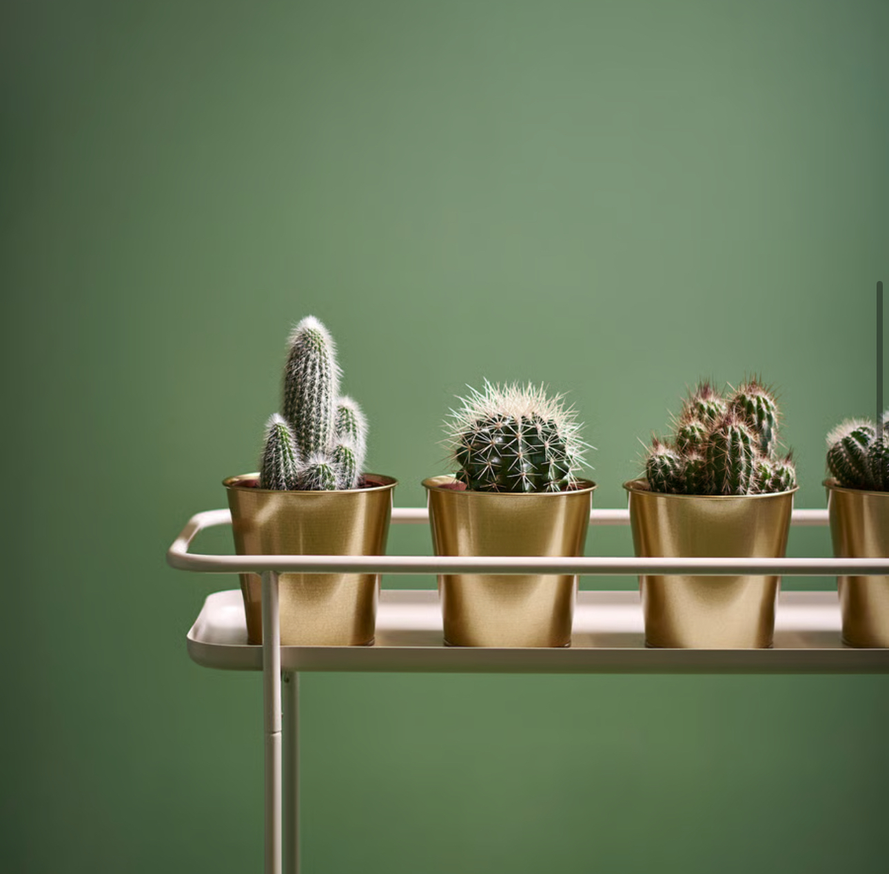 گلدان طلایی ۱۲ سانت ایکیا کالا خلیج