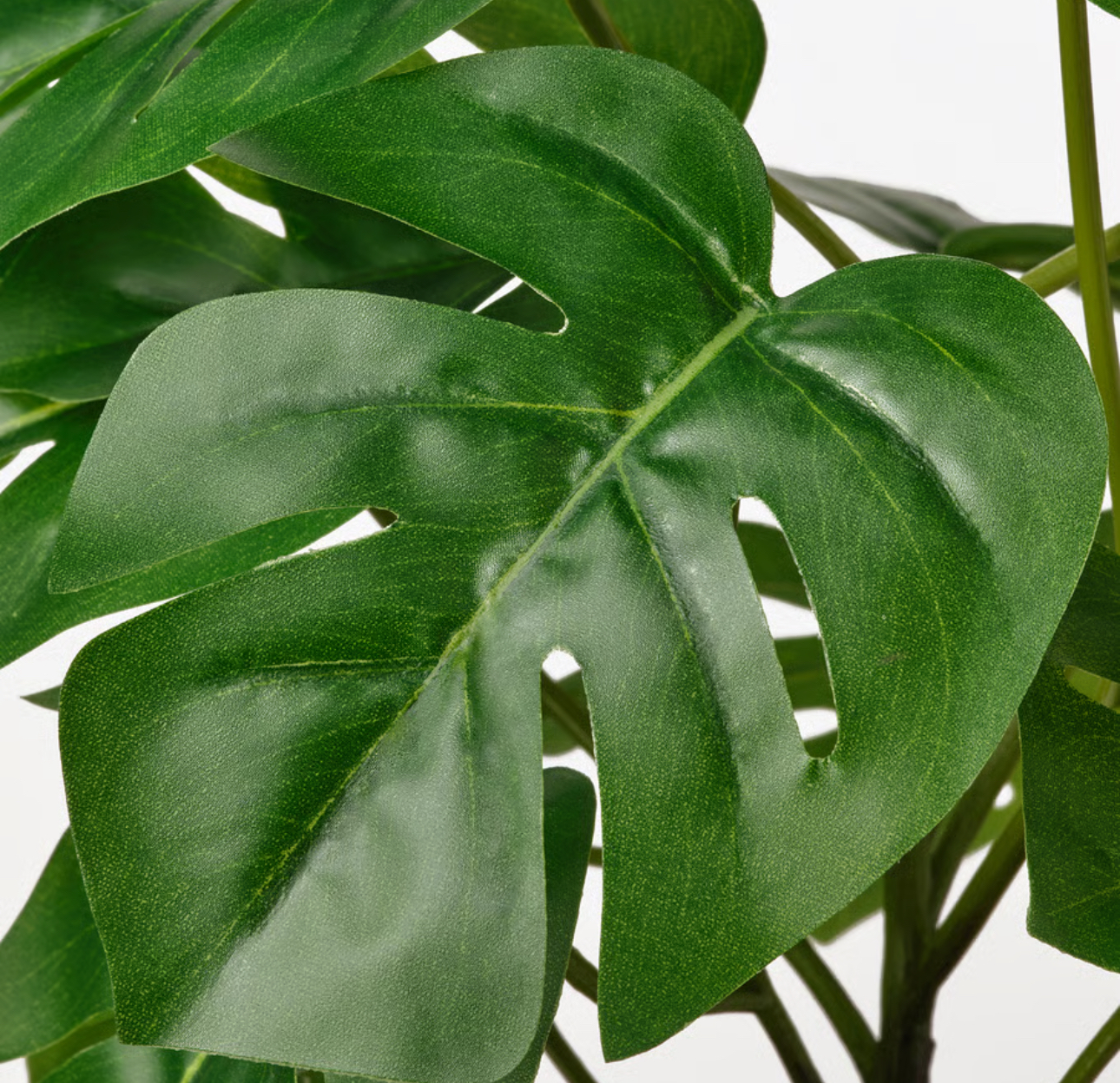  برگ انجیری مصنوعی ایکیا کالا خلیج 