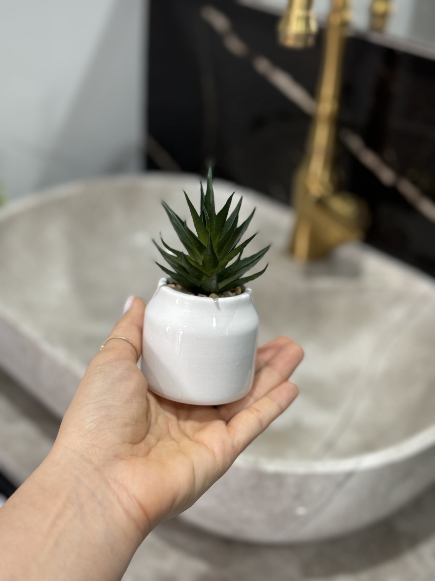  گیاه مصنوعی کالا خلیج 