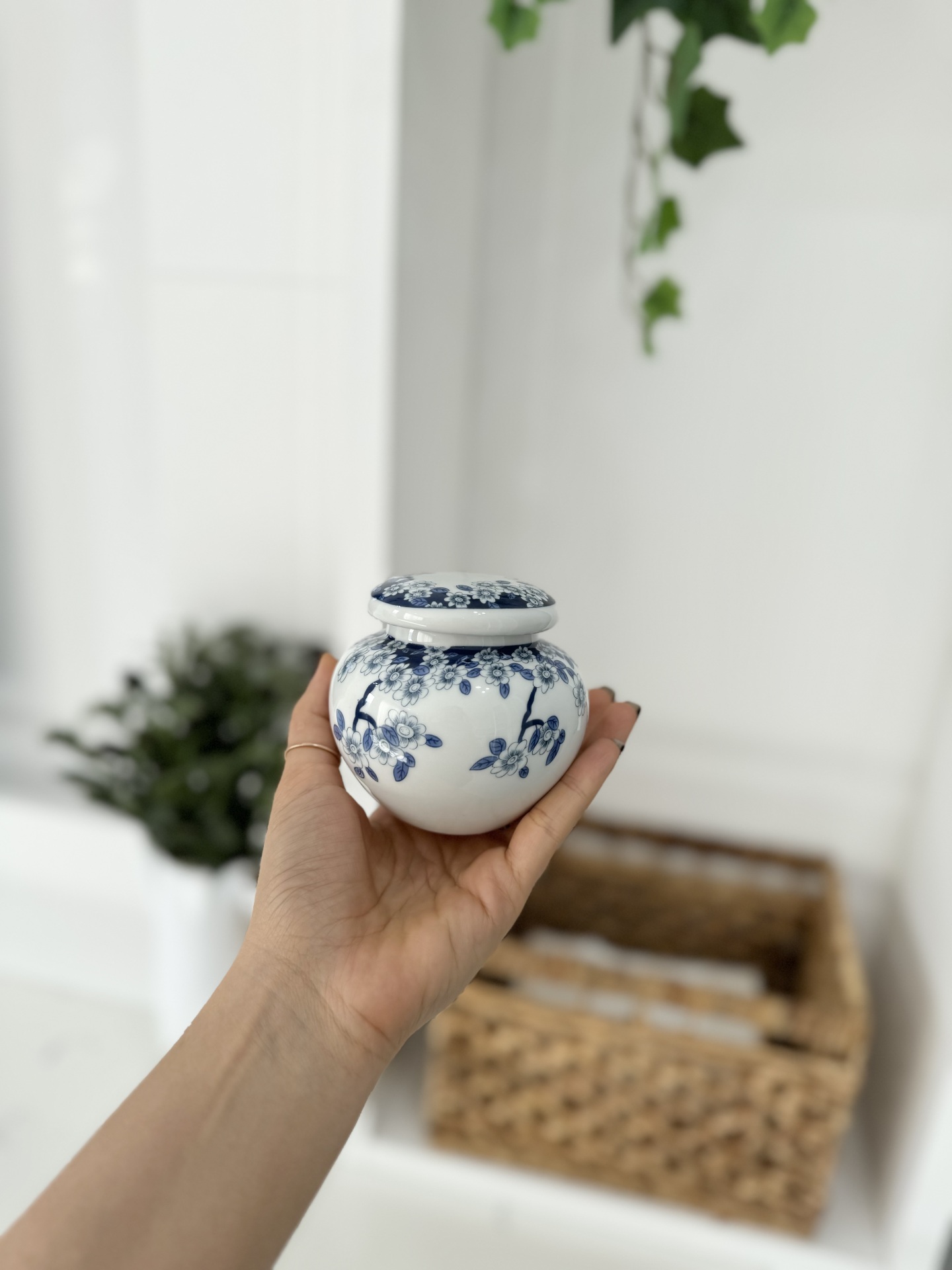  دکوری قلم آبی کالا خلیج 