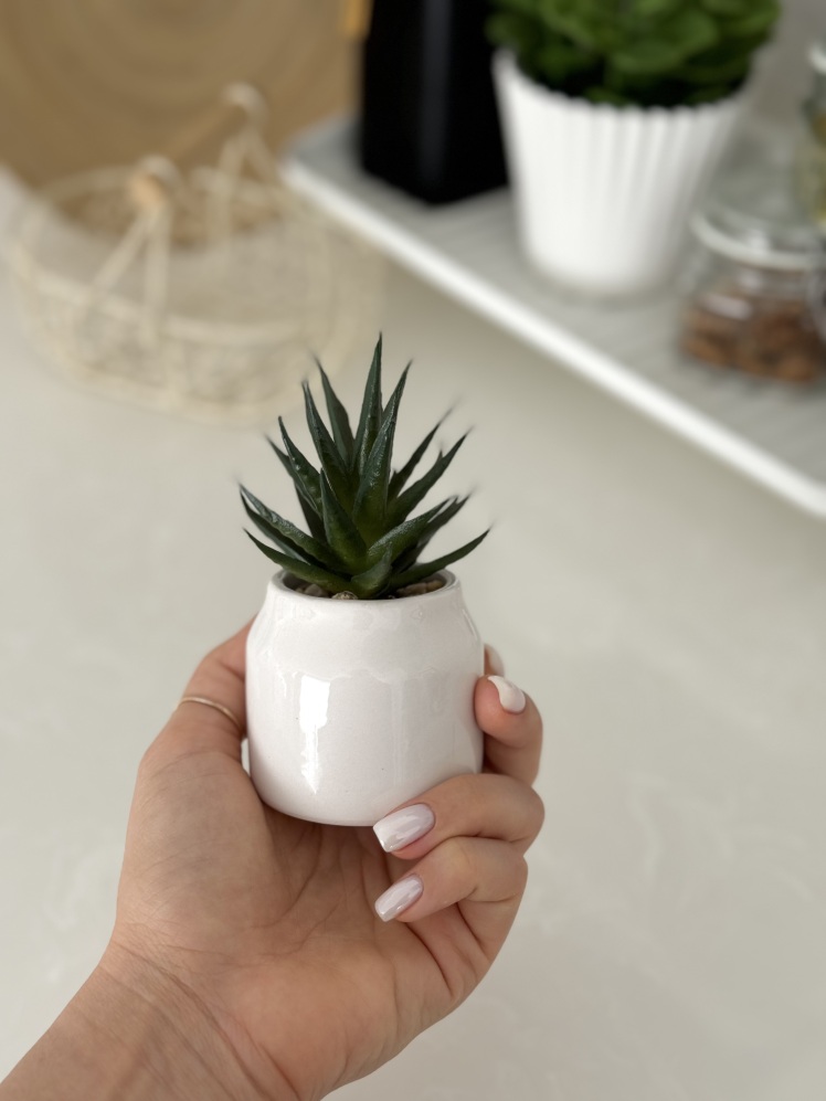 کاکتوس مصنوعی کالا خلیج