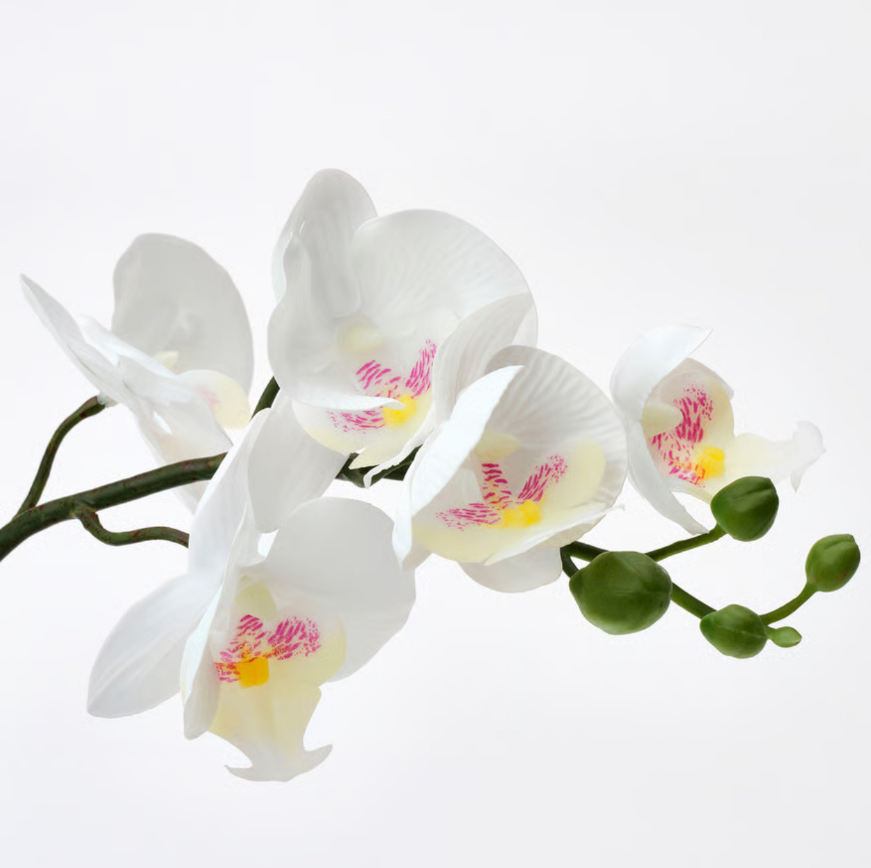  گیاه گلدار مصنوعی FEJKA کالا خلیج 