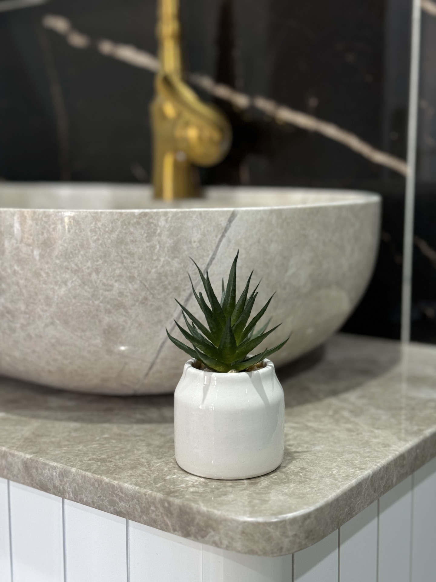  گلدان کاکتوس کالا خلیج 