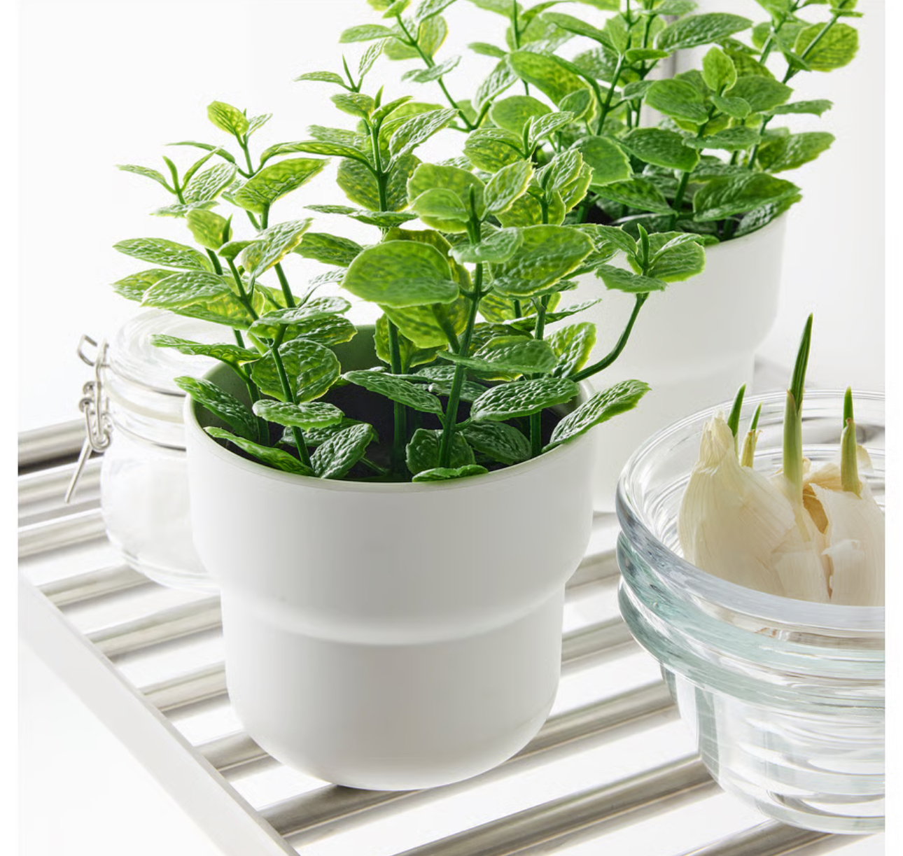 گلدان نعنا مصنوعی ایکیا کالا خلیج