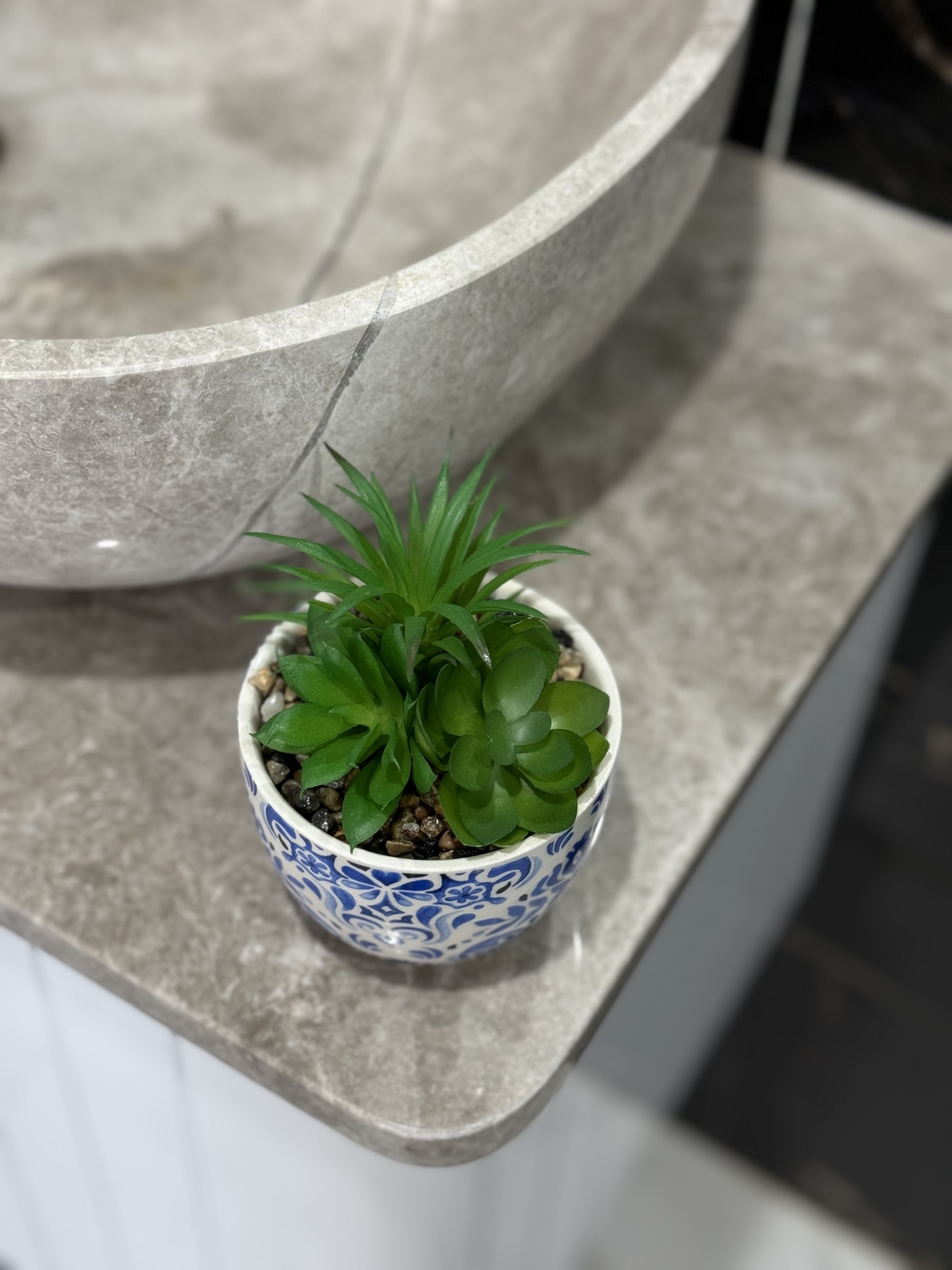  کاکتوس مصنوعی کالا خلیج 